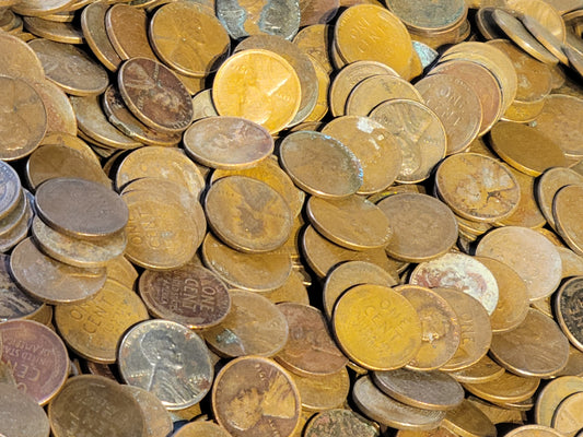 Bulk Discounted Lot of Wheat Pennies